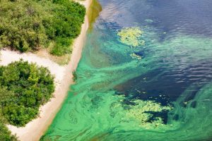 The Impact of Phosphates on the Environment A Deep Dive into Waterway Pollution and Regulation